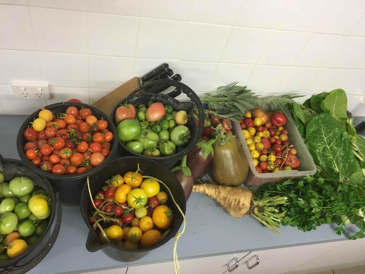 Coonawarra Ensuite Unit D المظهر الخارجي الصورة